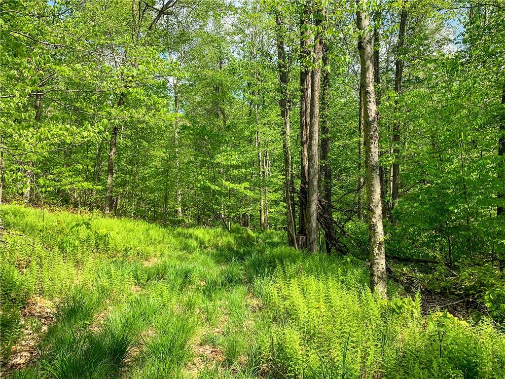 0 County Highway 44 Out of NYC Other, NY 13849