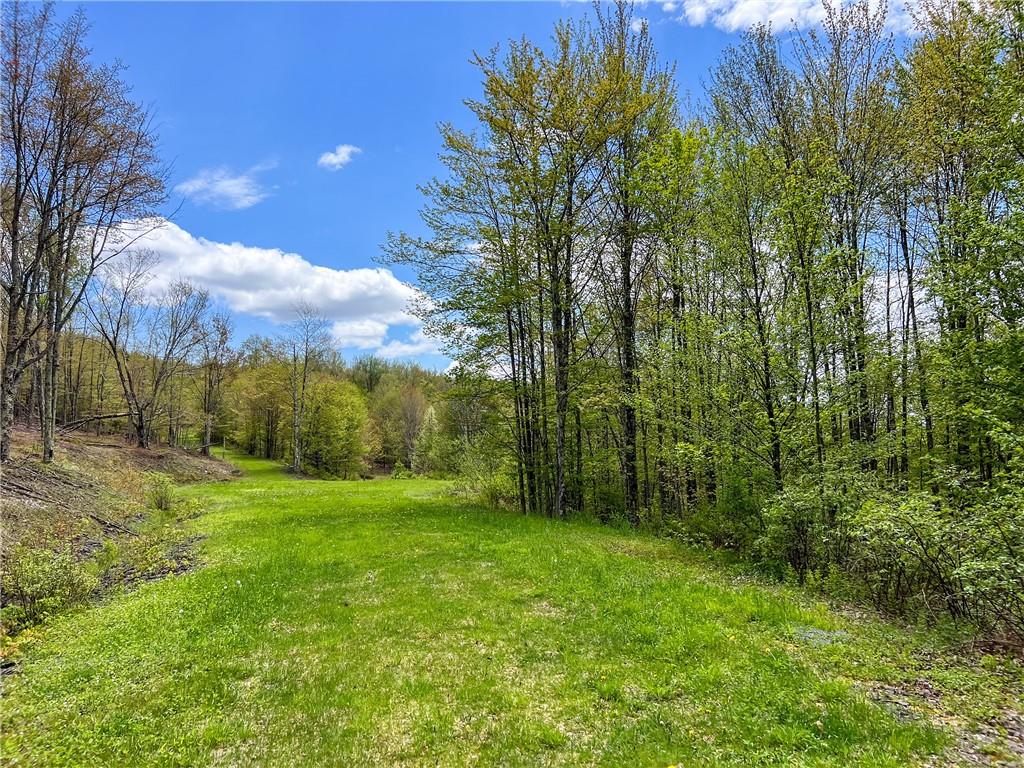 0 Rt-28 Out of NYC Andes, NY 13731