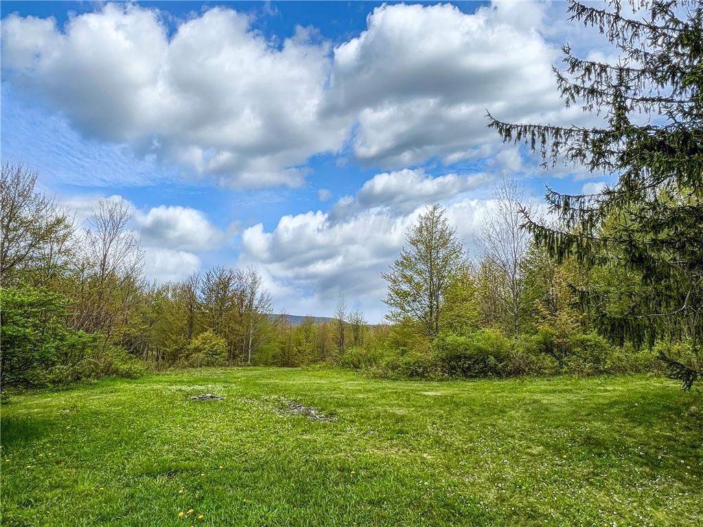 0 Rt-28 Out of NYC Andes, NY 13731