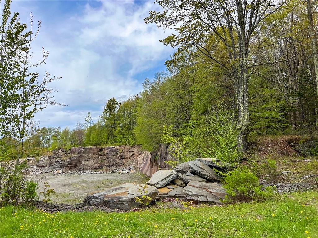 0 Rt-28 Out of NYC Andes, NY 13731