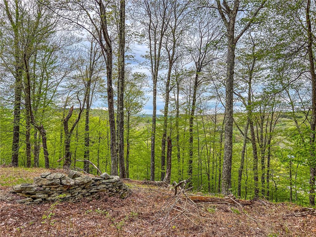 0 Rt-28 Out of NYC Andes, NY 13731