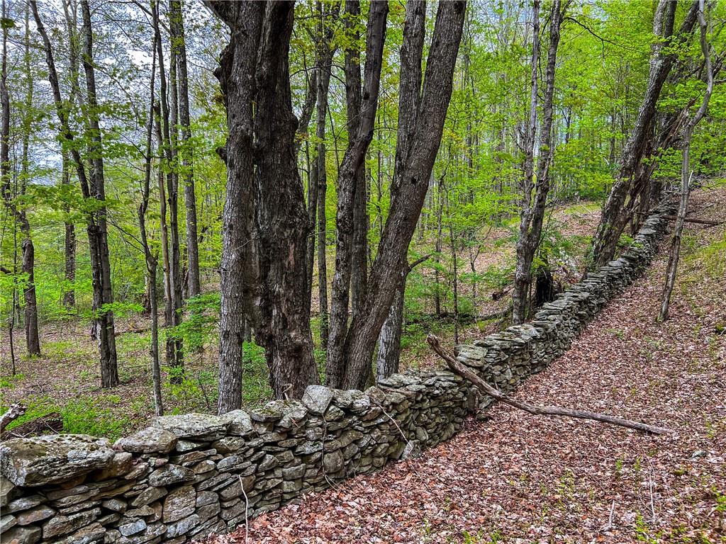 0 Rt-28 Out of NYC Andes, NY 13731