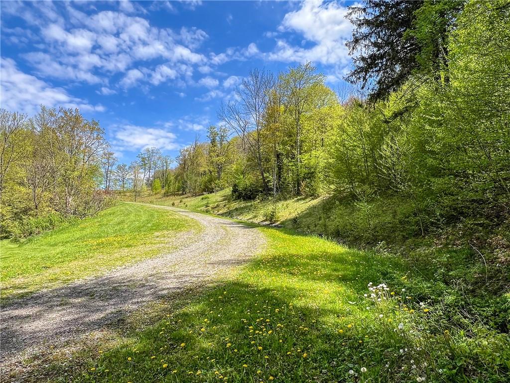 0 Rt-28 Out of NYC Andes, NY 13731