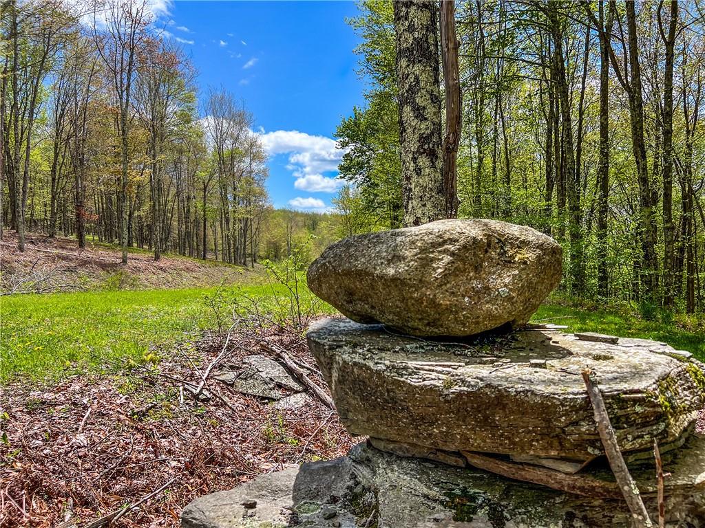 0 Rt-28 Out of NYC Andes, NY 13731