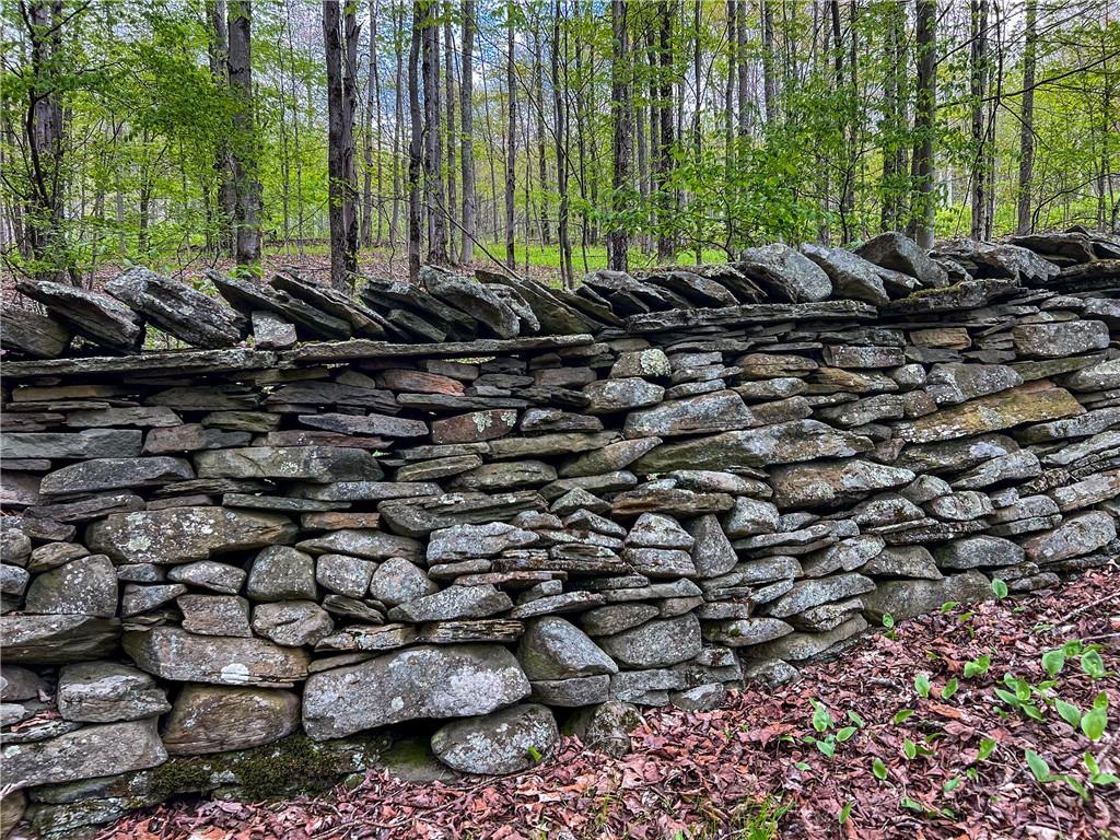 0 Rt-28 Out of NYC Andes, NY 13731