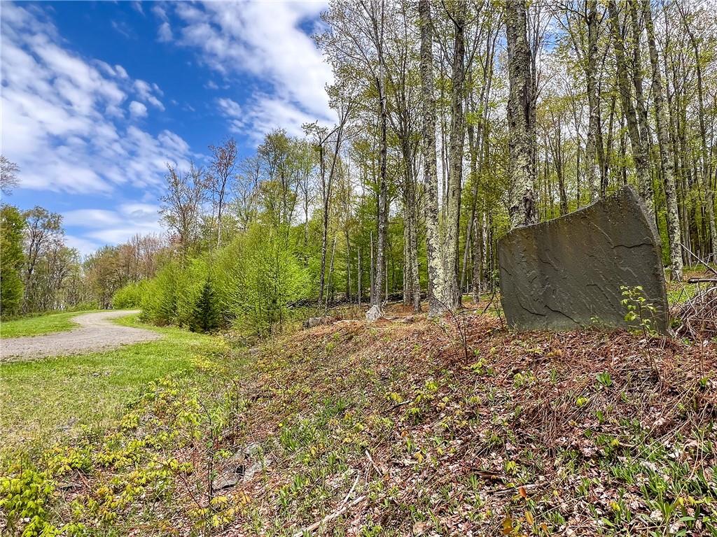 0 Rt-28 Out of NYC Andes, NY 13731