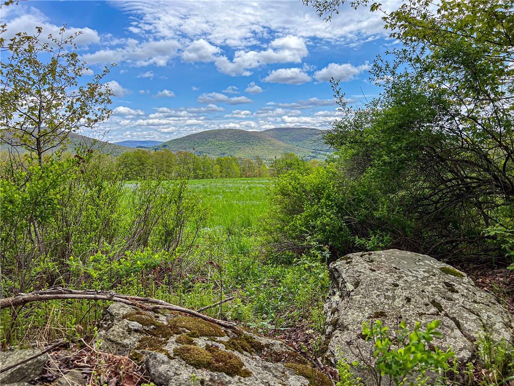 0 Rt-28 Out of NYC Andes, NY 13731