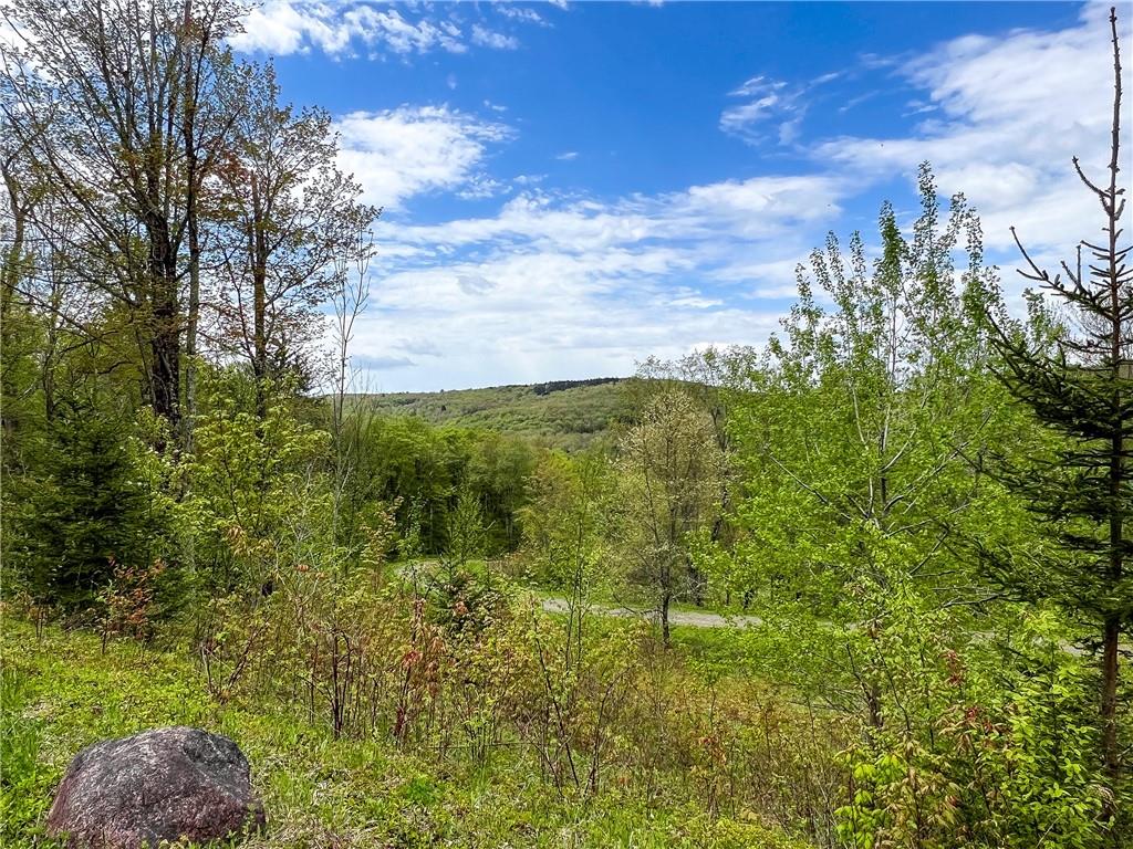 0 Rt-28 Out of NYC Andes, NY 13731