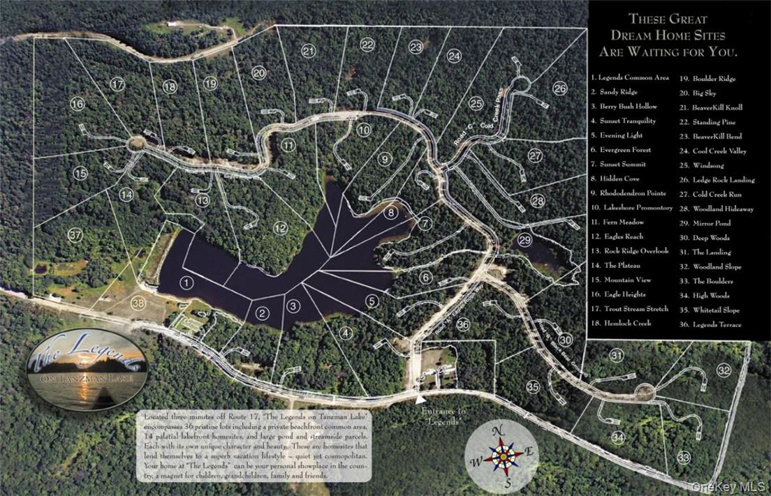 34 Black Bear Crossing Out of NYC Claryville, NY 12725