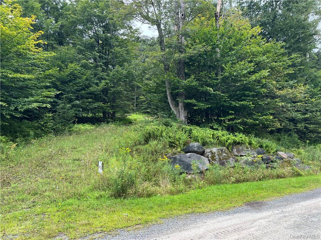 34 Black Bear Crossing Out of NYC Claryville, NY 12725