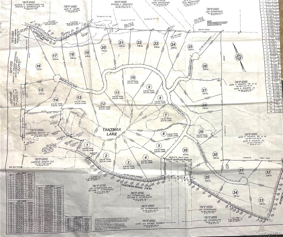 34 Black Bear Crossing Out of NYC Claryville, NY 12725