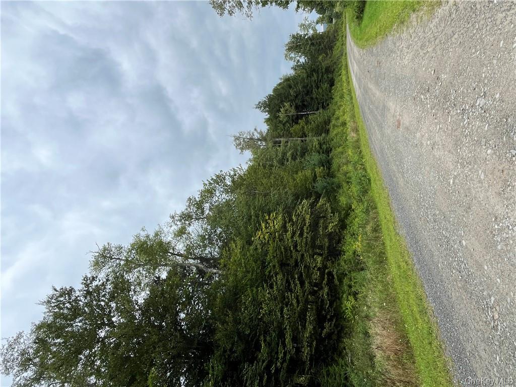 34 Black Bear Crossing Out of NYC Claryville, NY 12725