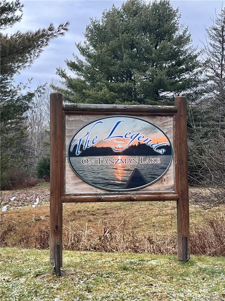 34 Black Bear Crossing Out of NYC Claryville, NY 12725