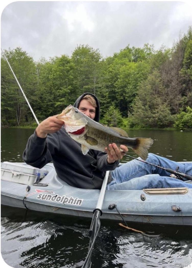 34 Black Bear Crossing Out of NYC Claryville, NY 12725