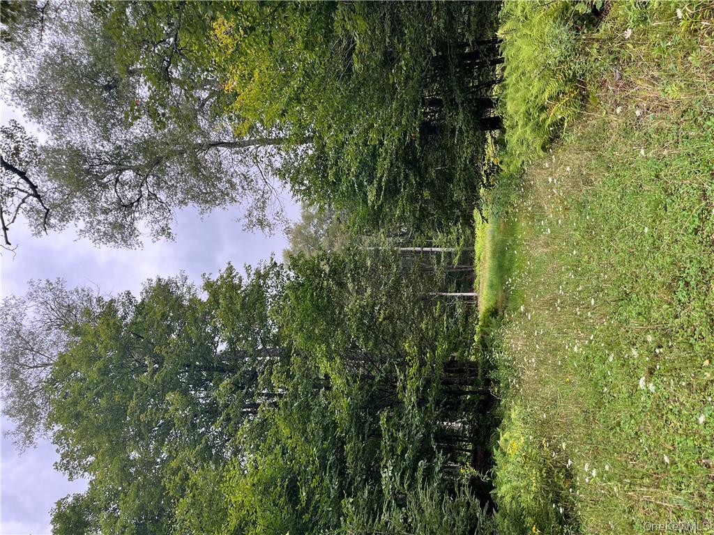 34 Black Bear Crossing Out of NYC Claryville, NY 12725