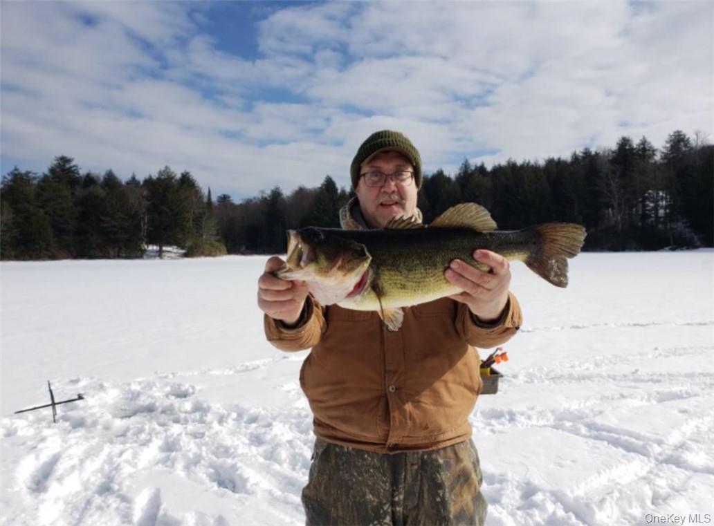 34 Black Bear Crossing Out of NYC Claryville, NY 12725