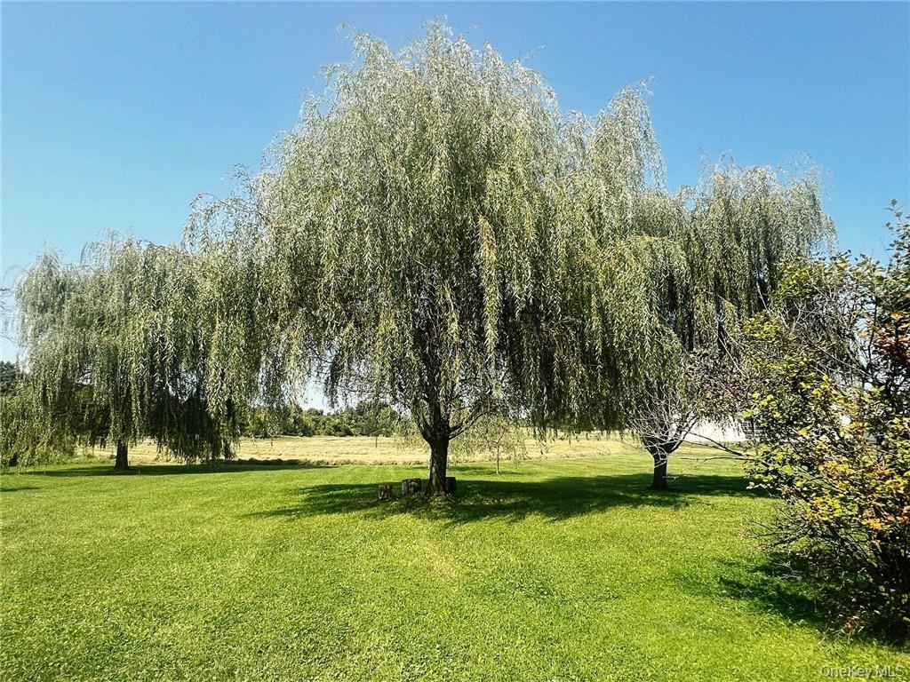 356 County Route 6 Out of NYC Germantown, NY 12526