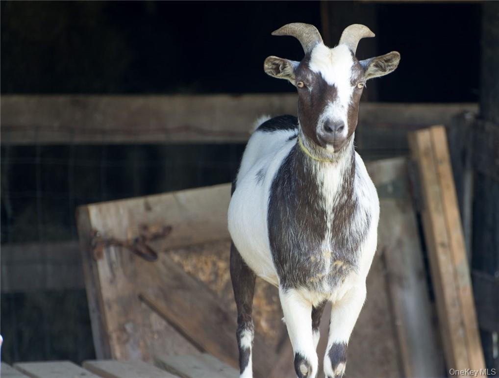 356 County Route 6 Out of NYC Germantown, NY 12526