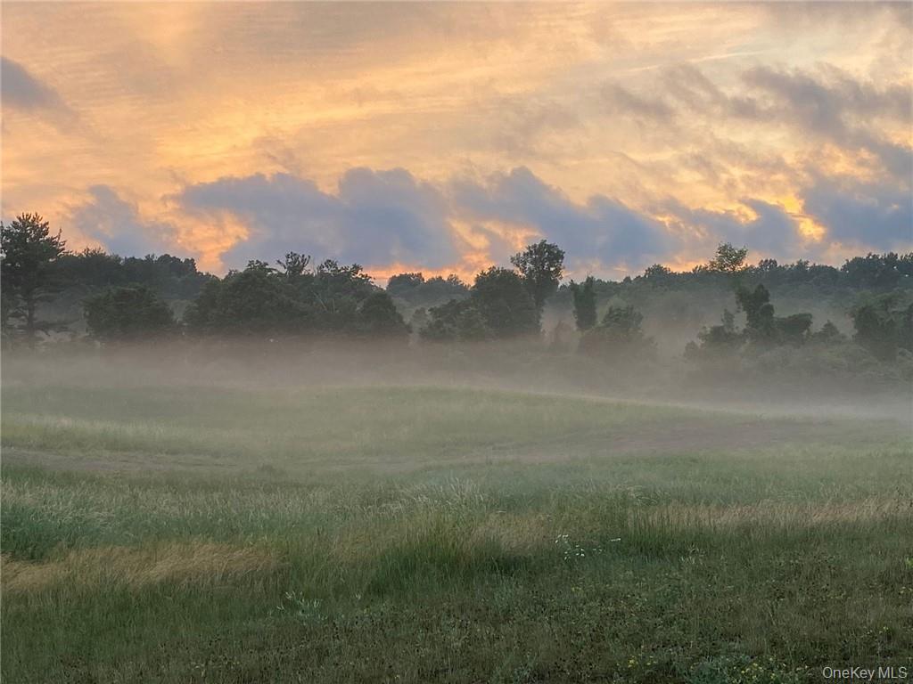 356 County Route 6 Out of NYC Germantown, NY 12526