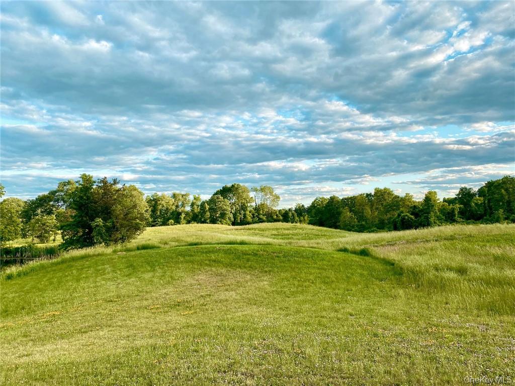 356 County Route 6 Out of NYC Germantown, NY 12526