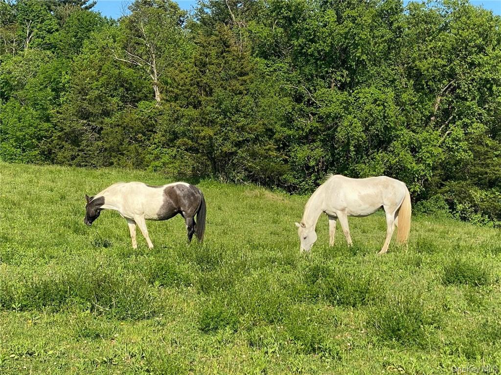 356 County Route 6 Out of NYC Germantown, NY 12526