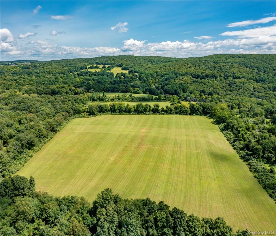 245 Birch Hill Road Out of NYC Patterson, NY 12563