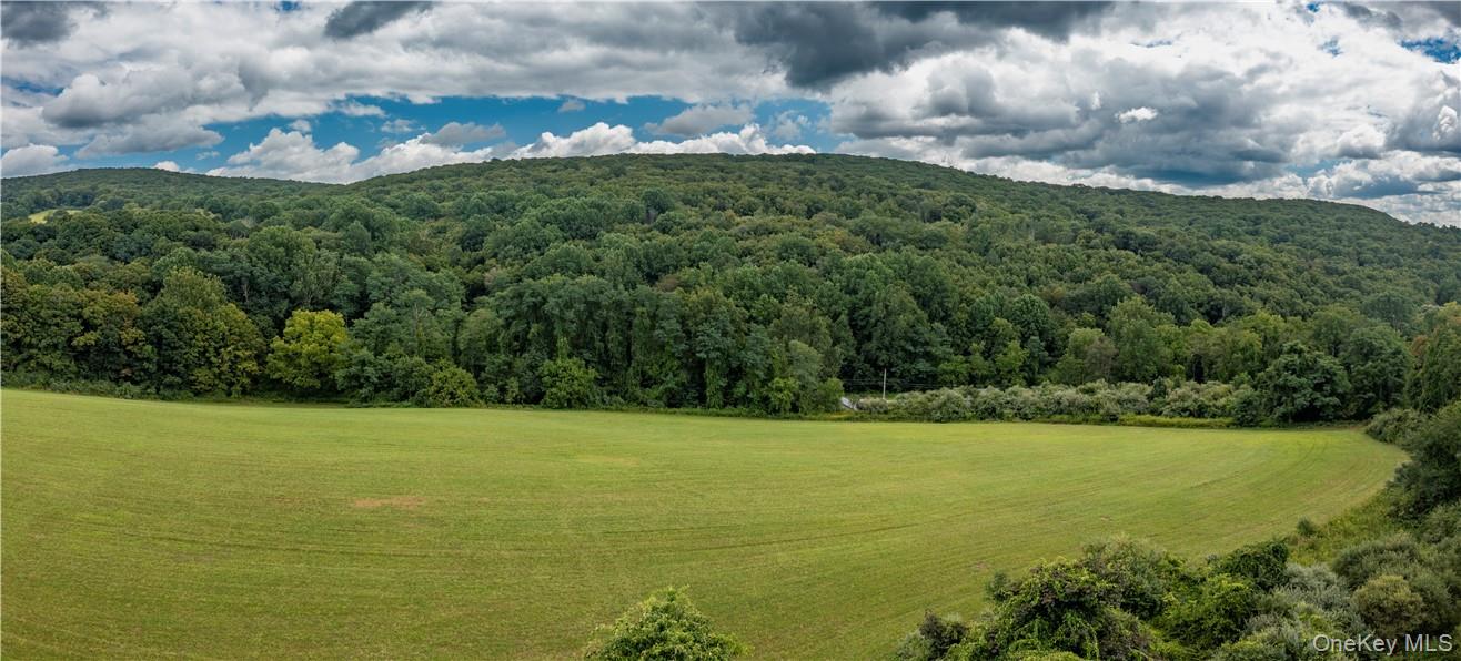 245 Birch Hill Road Out of NYC Patterson, NY 12563