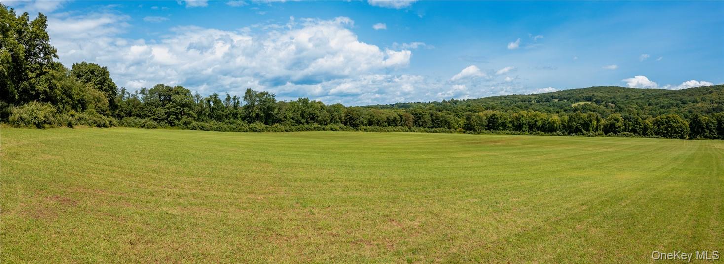 245 Birch Hill Road Out of NYC Patterson, NY 12563