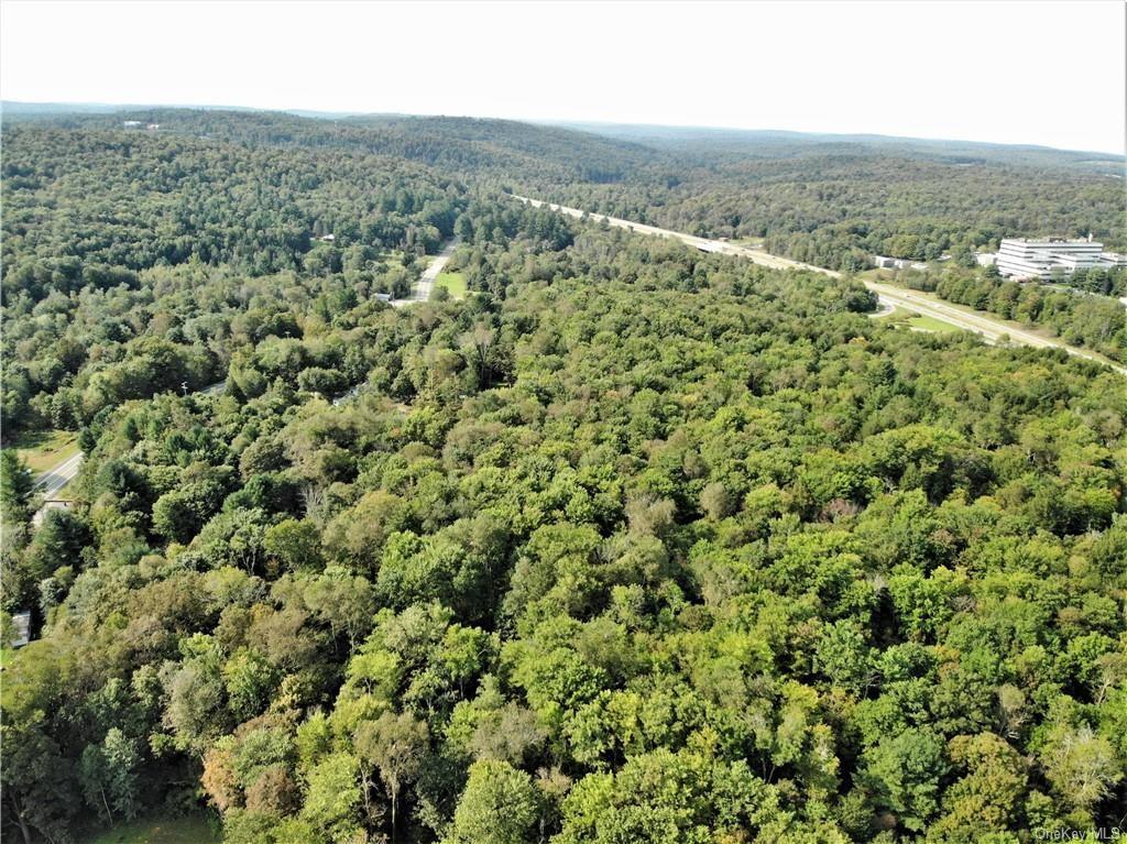 NYS Rt 17 and Old Rt 17 Out of NYC Harris, NY 12742