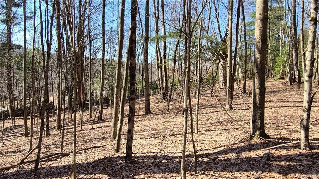 NYS Rt 17 and Old Rt 17 Out of NYC Harris, NY 12742