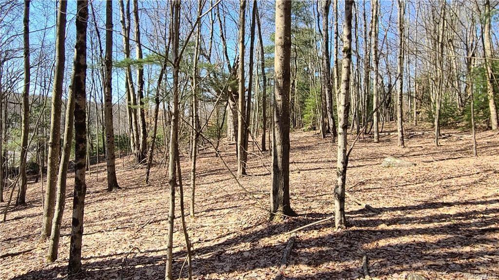 NYS Rt 17 and Old Rt 17 Out of NYC Harris, NY 12742