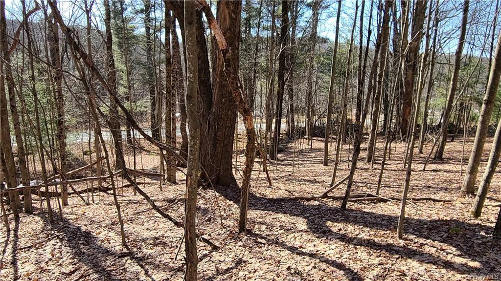 NYS Rt 17 and Old Rt 17 Out of NYC Harris, NY 12742