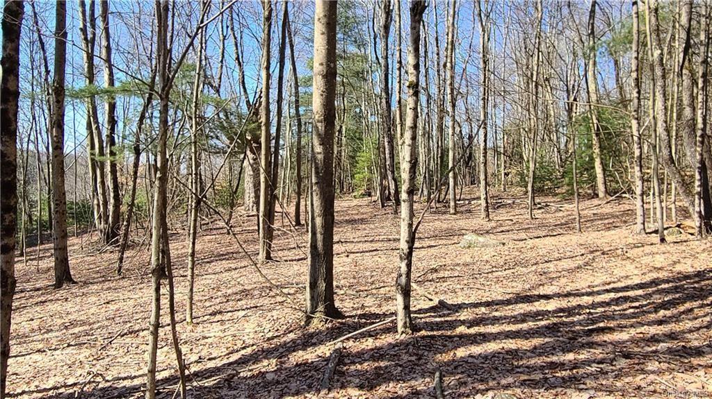 NYS Rt 17 and Old Rt 17 Out of NYC Harris, NY 12742