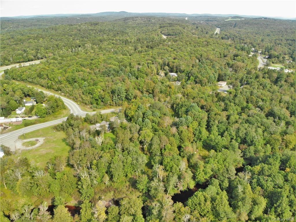 NYS Rt 17 and Old Rt 17 Out of NYC Harris, NY 12742