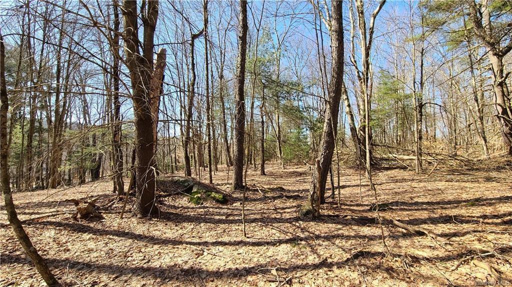 NYS Rt 17 and Old Rt 17 Out of NYC Harris, NY 12742