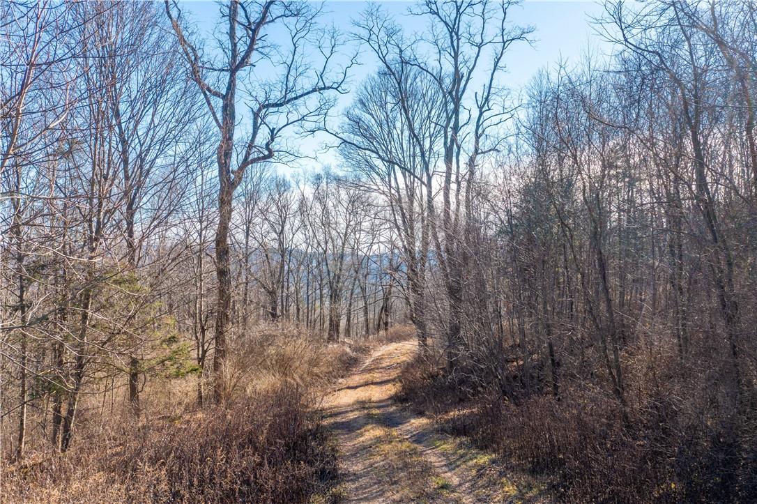 1297 Route 343 Out of NYC Dover Plains, NY 12522