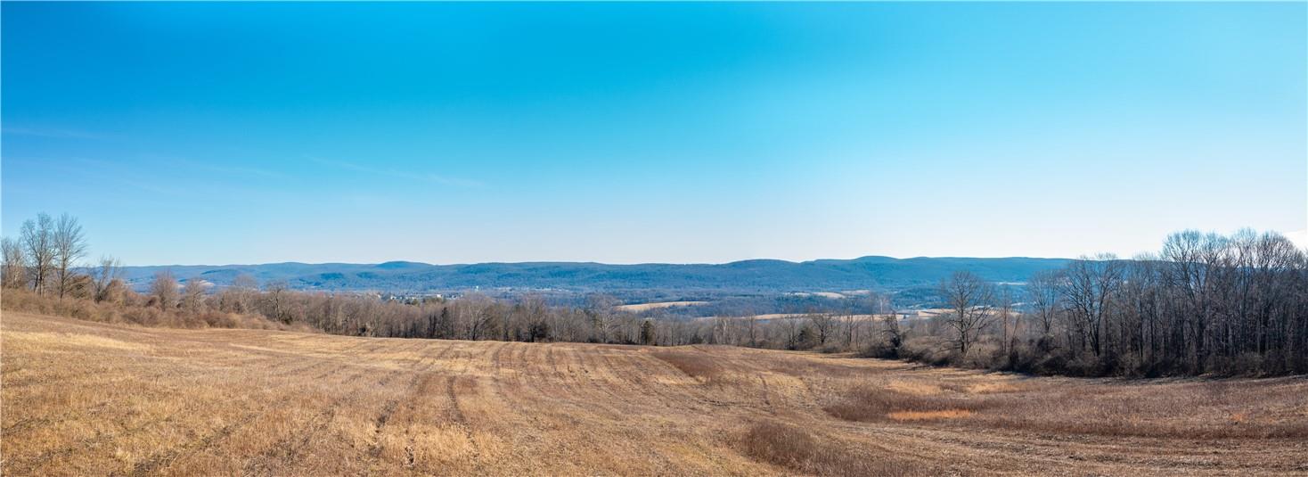 1297 Route 343 Out of NYC Dover Plains, NY 12522