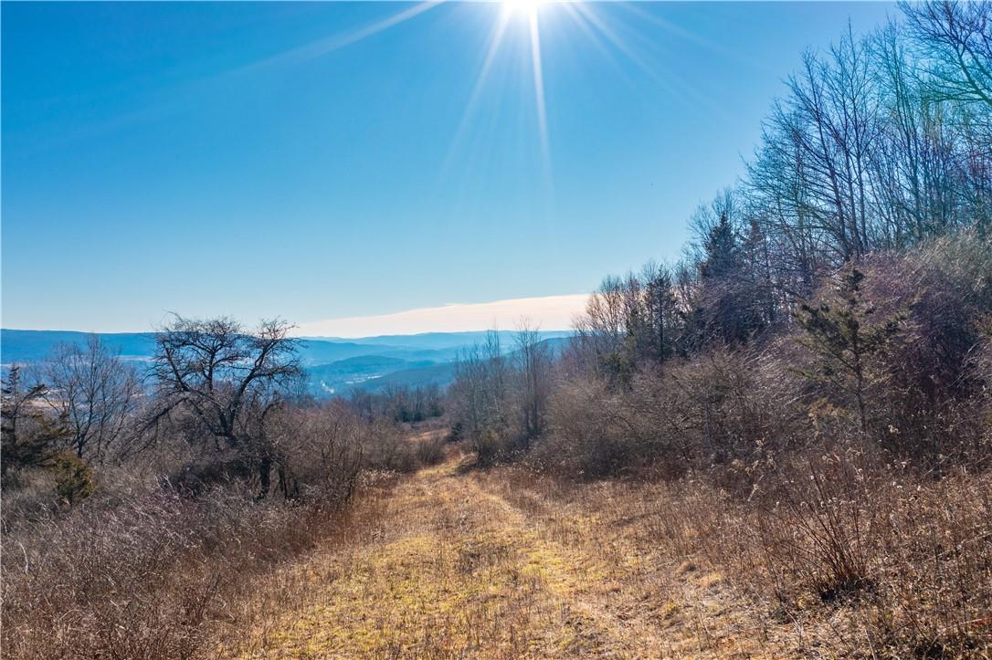 1297 Route 343 Out of NYC Dover Plains, NY 12522