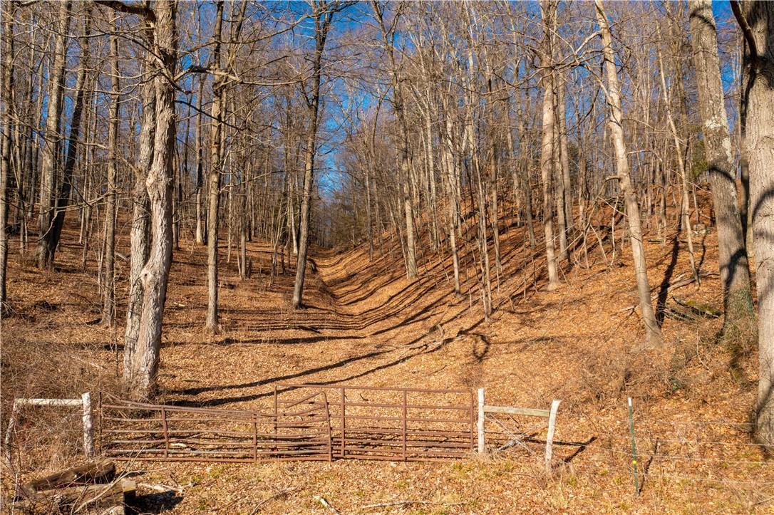 1297 Route 343 Out of NYC Dover Plains, NY 12522