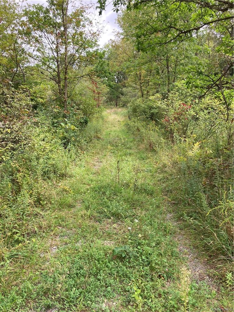 Logtown Road Out of NYC Port Jervis, NY 12771