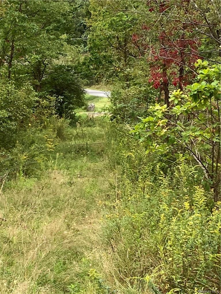 Logtown Road Out of NYC Port Jervis, NY 12771