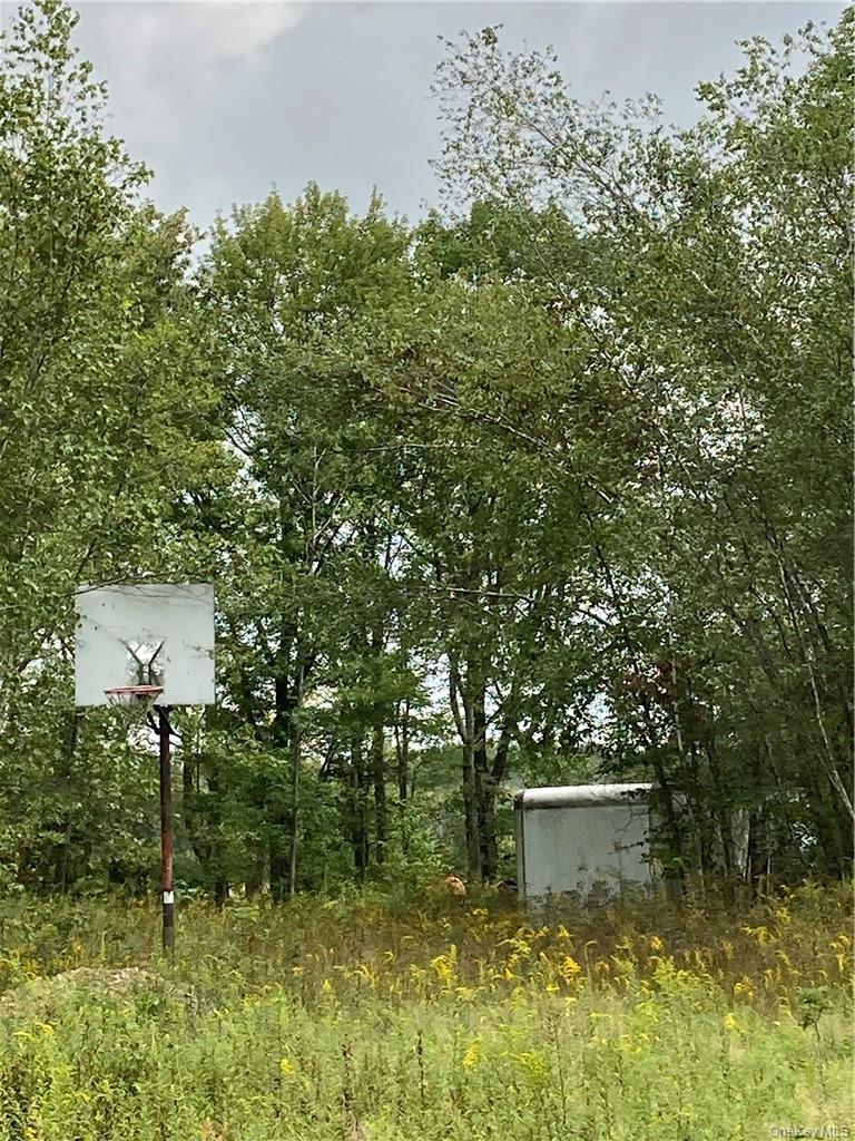 Logtown Road Out of NYC Port Jervis, NY 12771