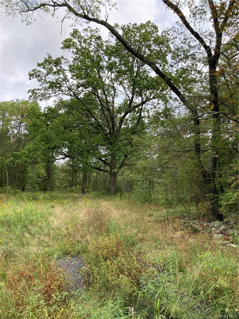 Logtown Road Out of NYC Port Jervis, NY 12771