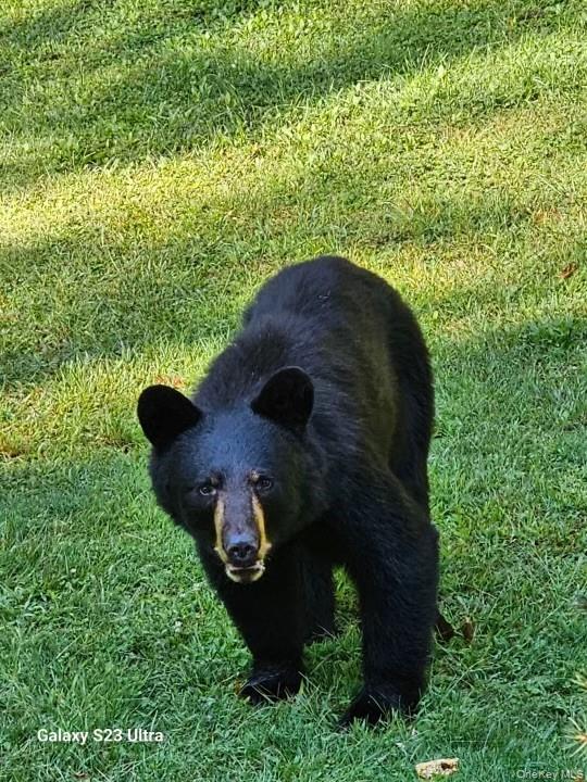 Logtown Road Out of NYC Port Jervis, NY 12771