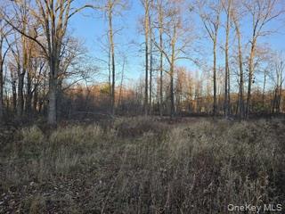 Logtown Road Out of NYC Port Jervis, NY 12771