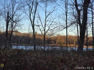 Logtown Road Out of NYC Port Jervis, NY 12771