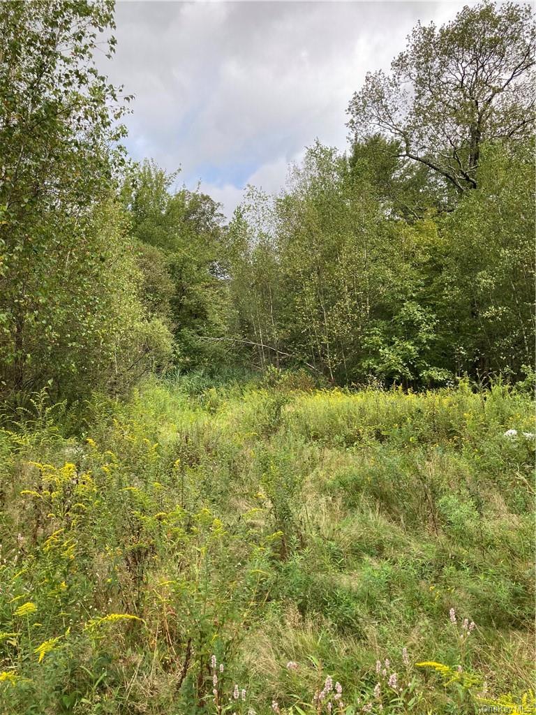 Logtown Road Out of NYC Port Jervis, NY 12771