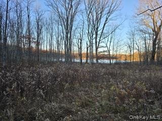 Logtown Road Out of NYC Port Jervis, NY 12771