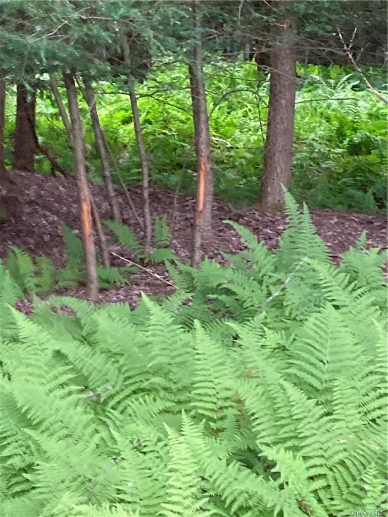 Logtown Road Out of NYC Port Jervis, NY 12771