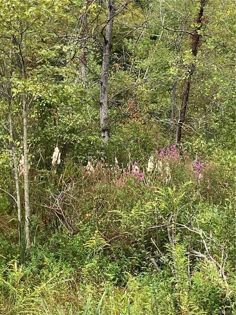 Logtown Road Out of NYC Port Jervis, NY 12771